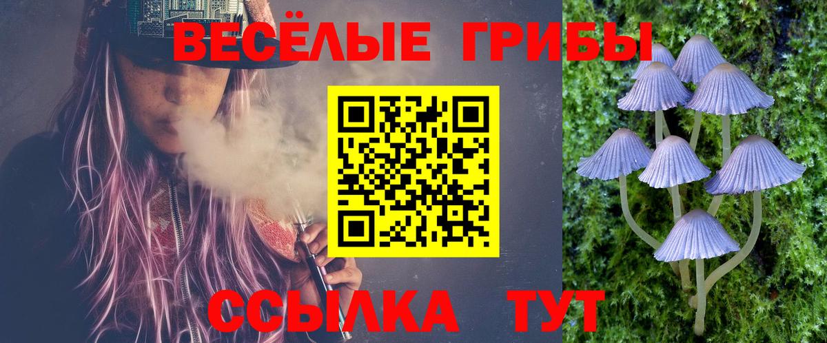 Гусиноозёрск  Псилоцибиновые грибы ЛСД  Вход с VPN  Псилоцибиновые грибы мицелий 