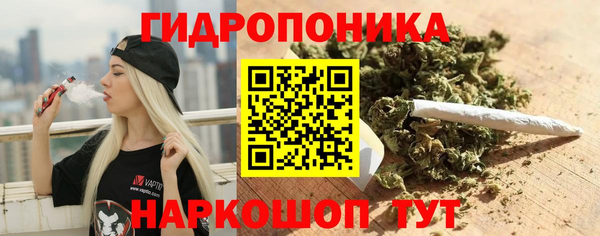 Марихуана сатива Гусиноозёрск